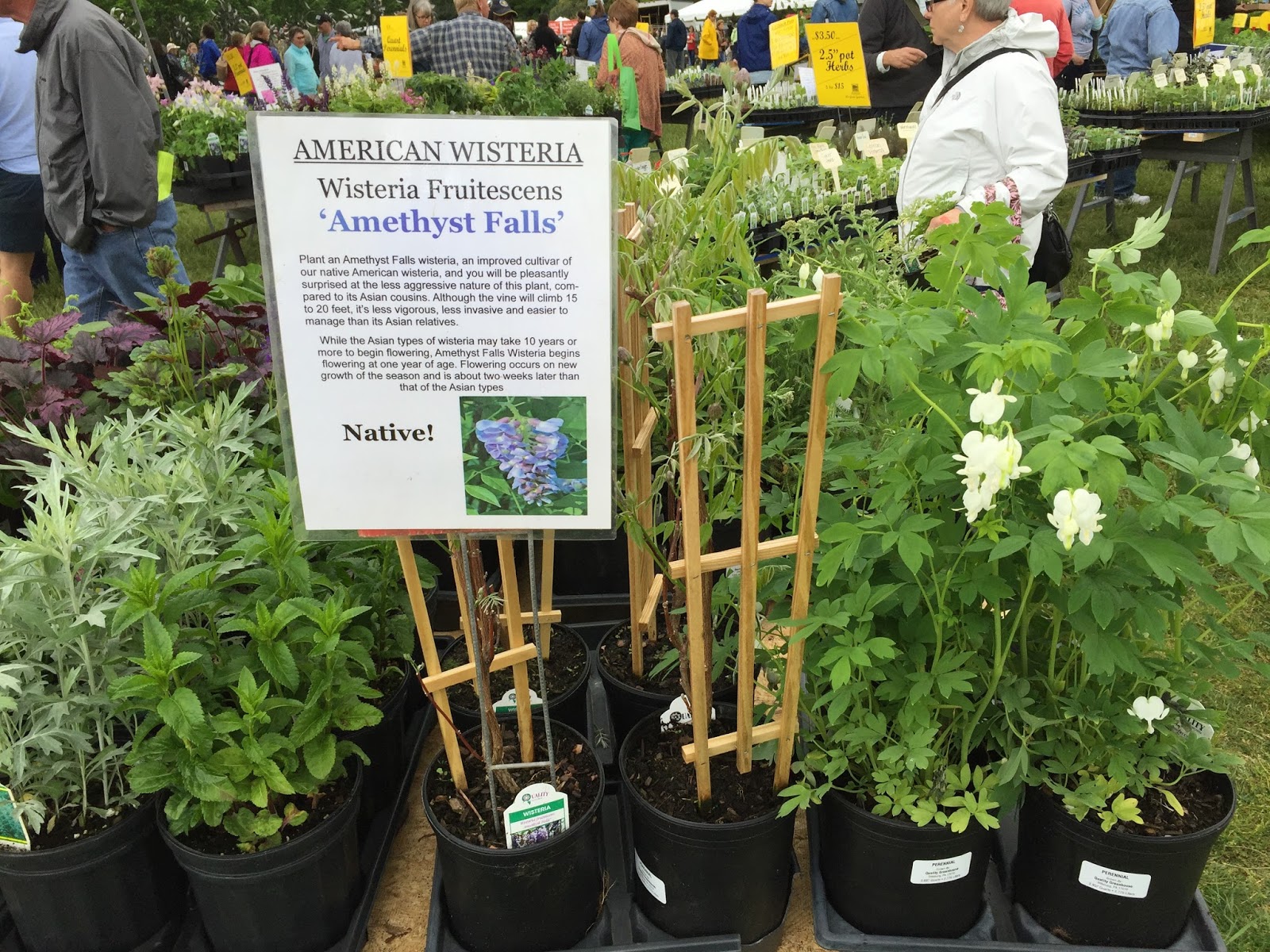 Bonz Blogz Maymont Herbs Galore and More