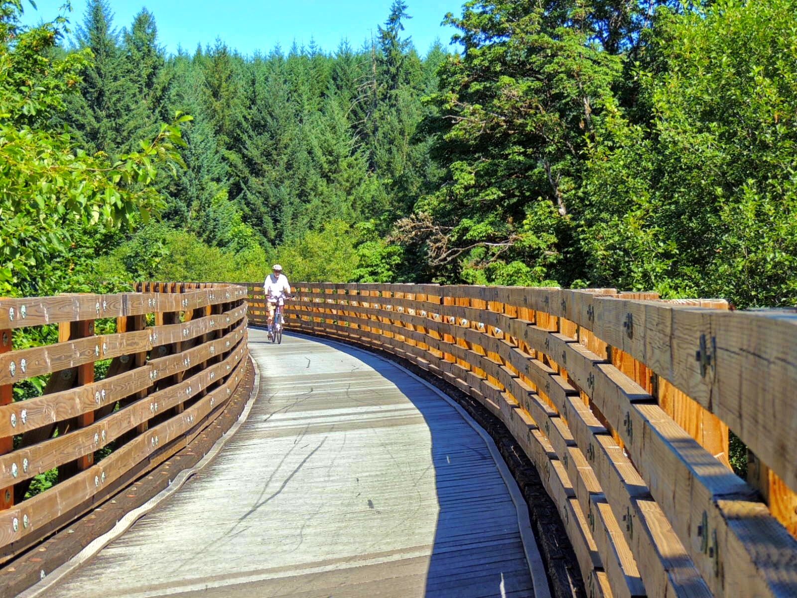 Travels with Carol Pucci Bike in the slow lane along Oregon's Banks