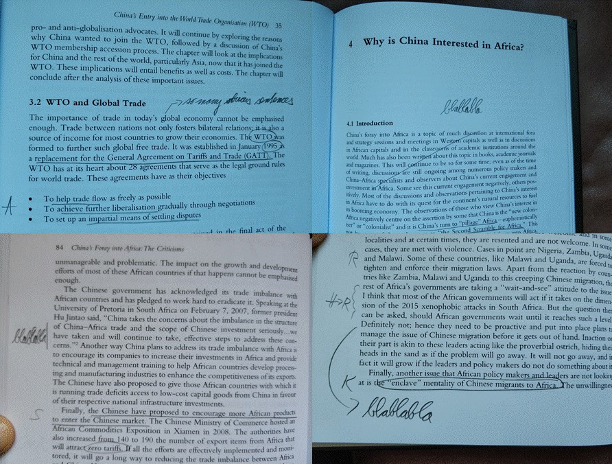 David N Abdulai S Chinese Investment In Africa Routledge