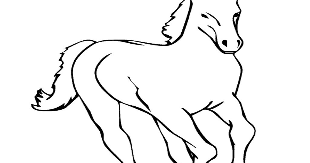 Top Sketsa Gambar Kuda Berlari | Sketsabaru