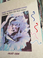 DARK PURPLE INTERSECTIONS (inside my Black Doll Head Irises)
