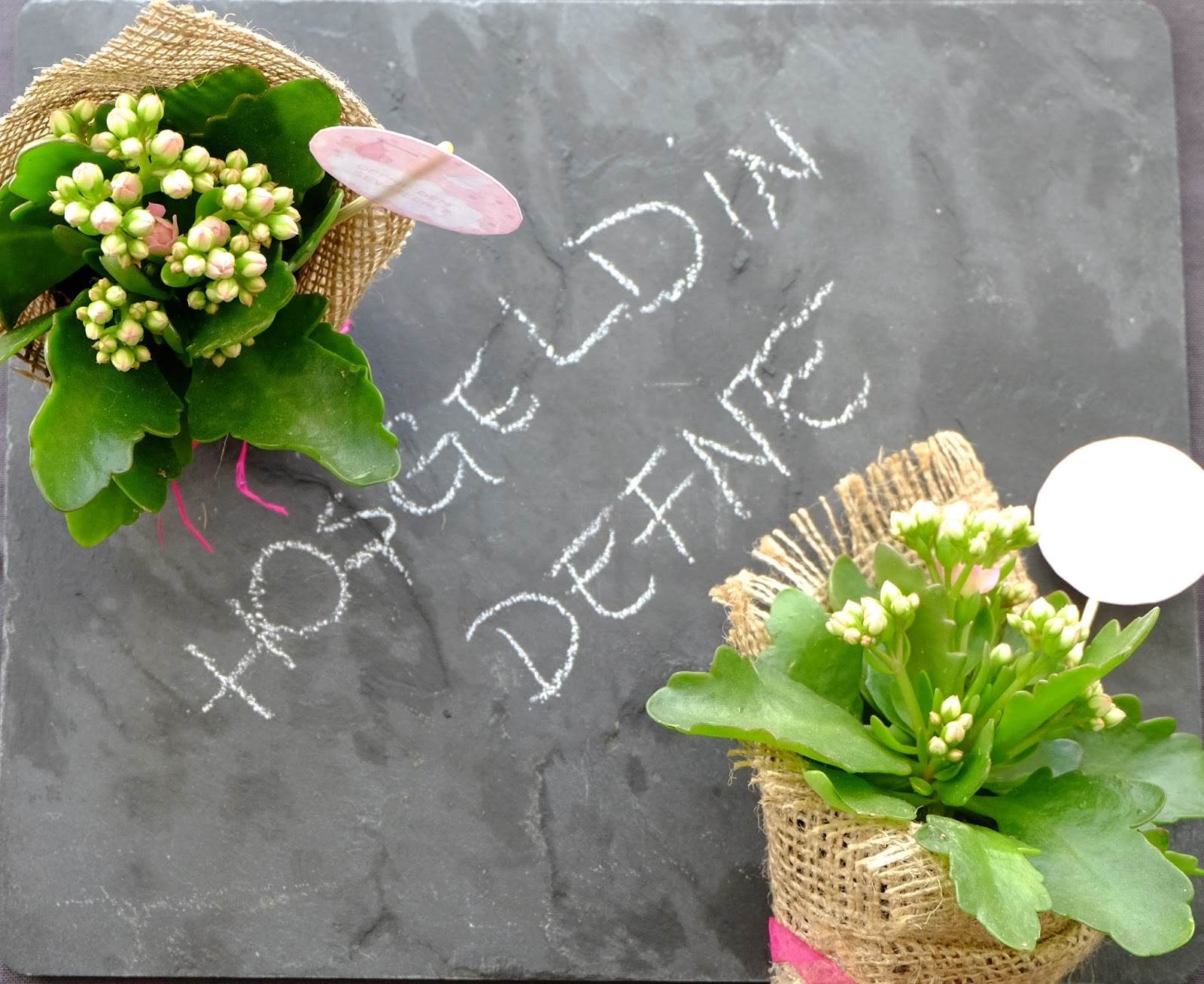Yeni Doğan Bebek Hediyesi Hoşgeldin Defne! bir dik &amp; bin bak