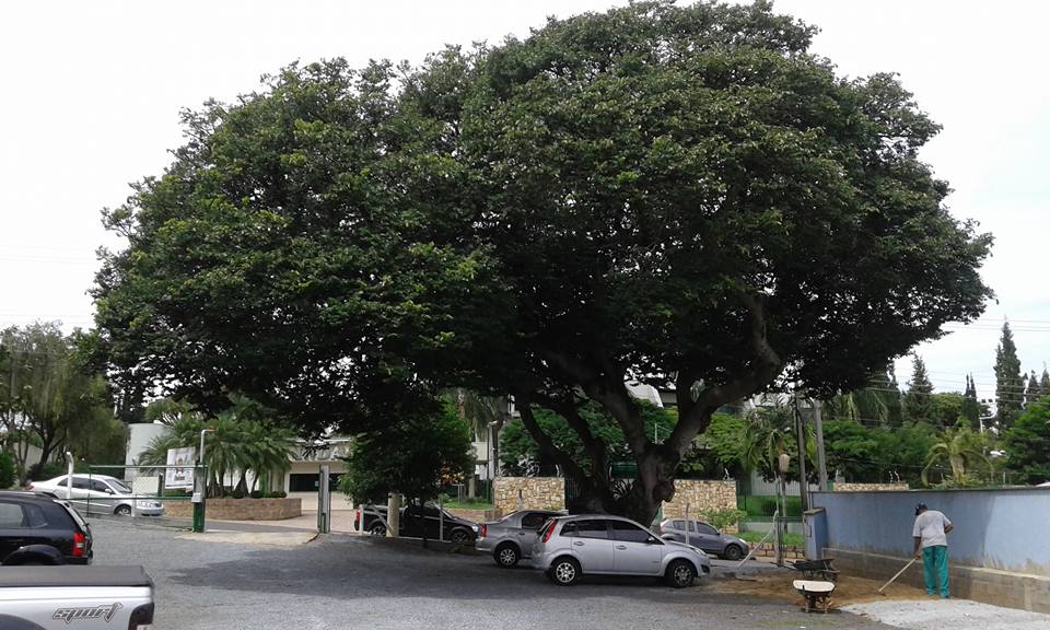 História de Indaiatuba Os mais ILUSTRES