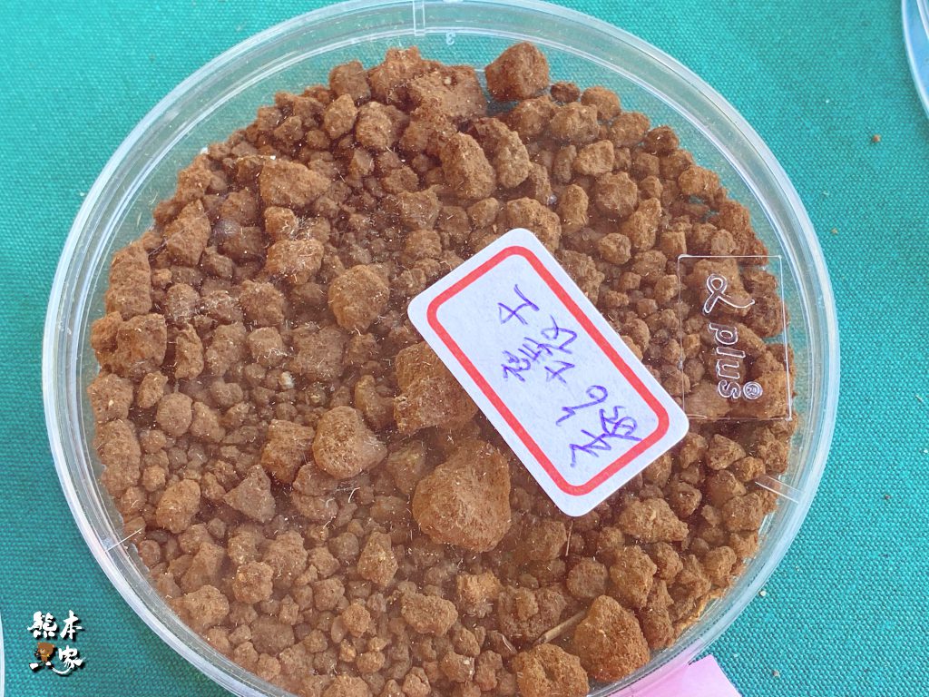 佳園路農改場|三峽北大年度活動~2019都會樂活園藝暨試驗農場開放參觀