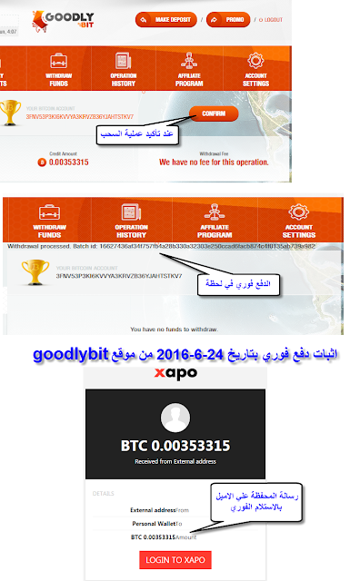 ���� goodlybit ������ �������� ��������� goodlybit 24.png
