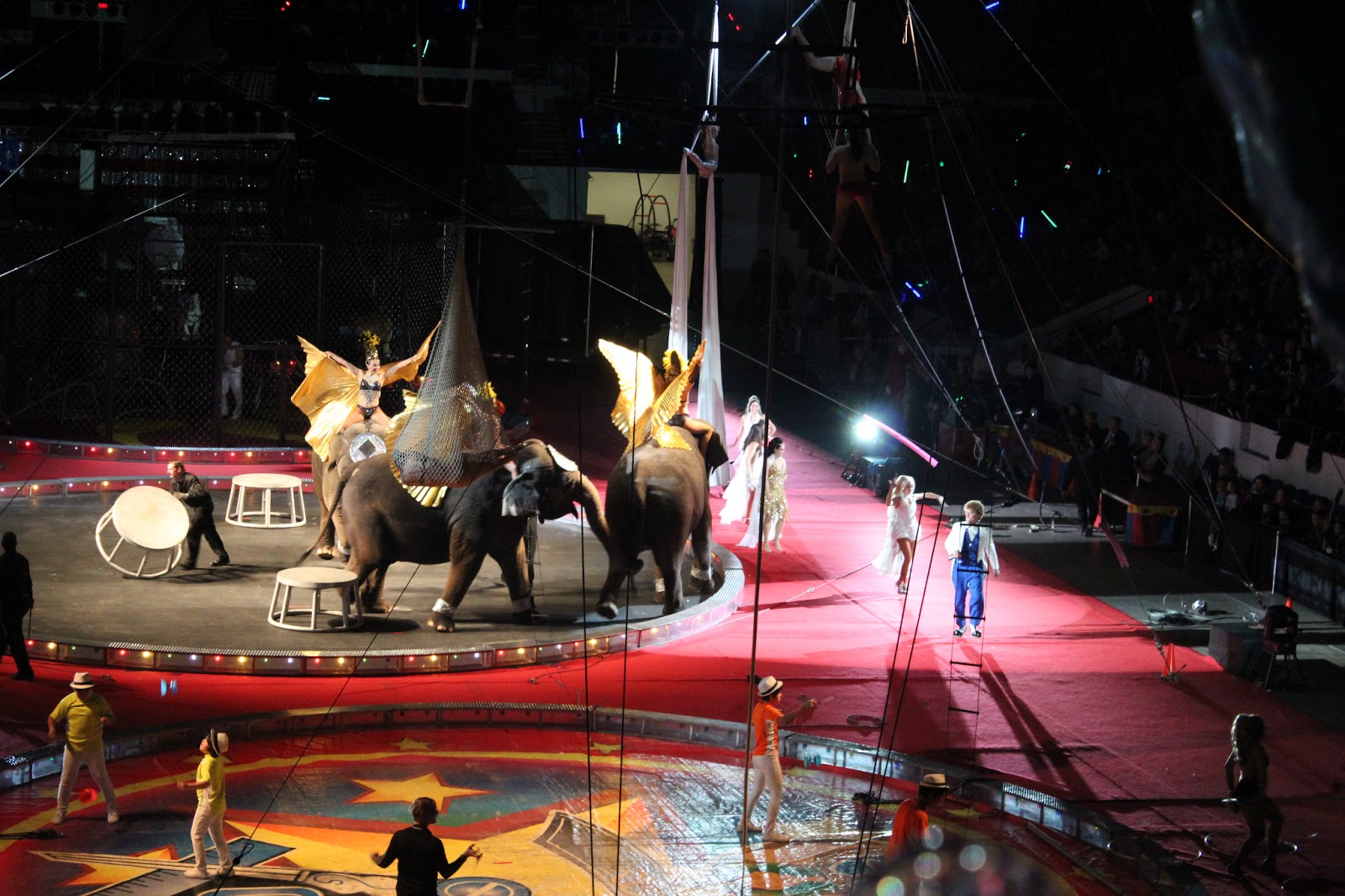 draiahahaile Shrine Circus
