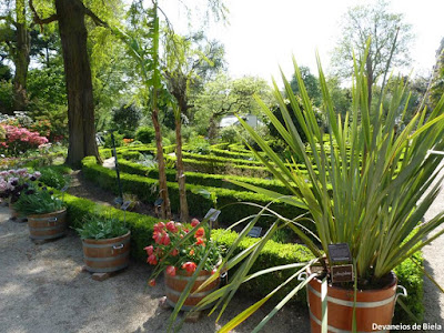 De Hortus - Jardim Botânico de Amsterdam