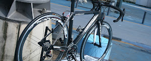 AZIONE CARBON CYCLES