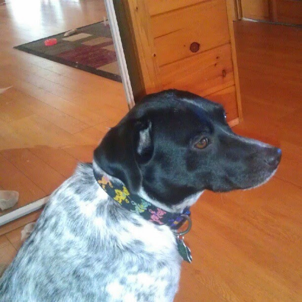 Buddy Bingo was His Name-O!