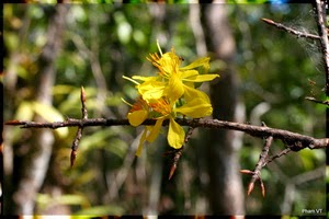 IMG_8838_C.JPG