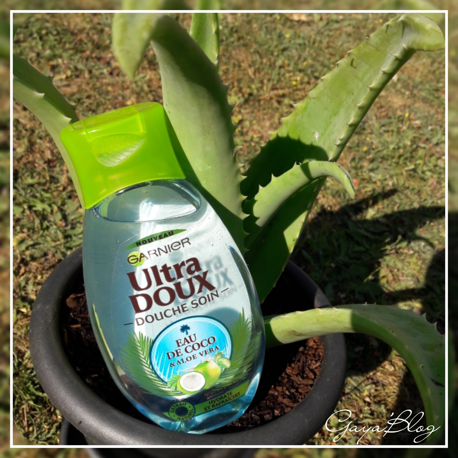 Douche Soin Eau de Coco & Aloe Vera Ultra Doux de GARNIER