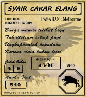 SYAIR MELBOURNE .01-05-2019