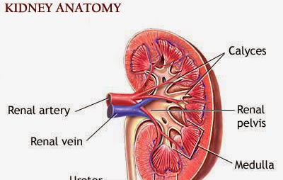 Loker Wings Cirebon - Loker Wings Cirebon : Lokercirebon.com website