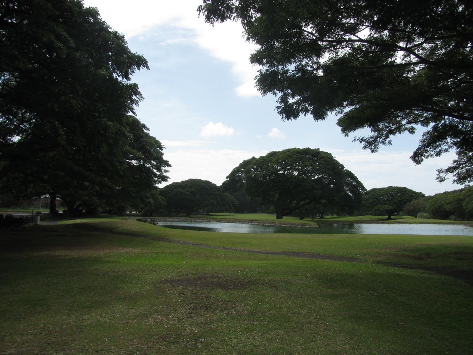 My Slice of Golf (John B) Sea Mountain Resort, Punaluu Big island Hawaii