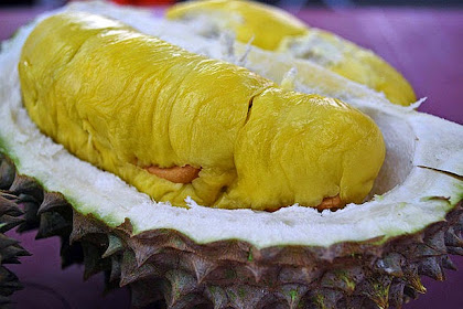 Manfaat Durian Bagi Kecantikan Kulit Yang Penting Di Ketahui