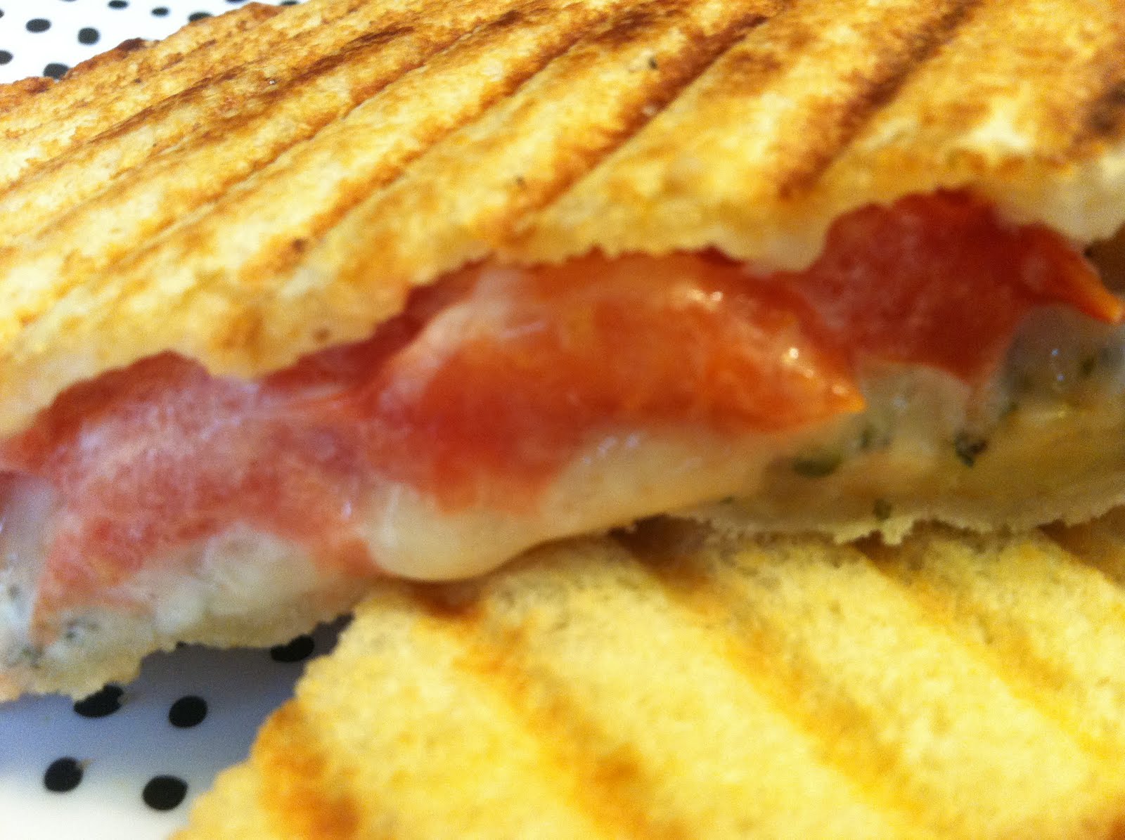 Mandys Box of Recipes Grilled Eggplant Panini