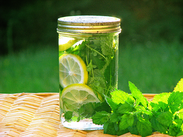 Eau infusée à la mélisse. Recette d'eau infusée à la mélisse