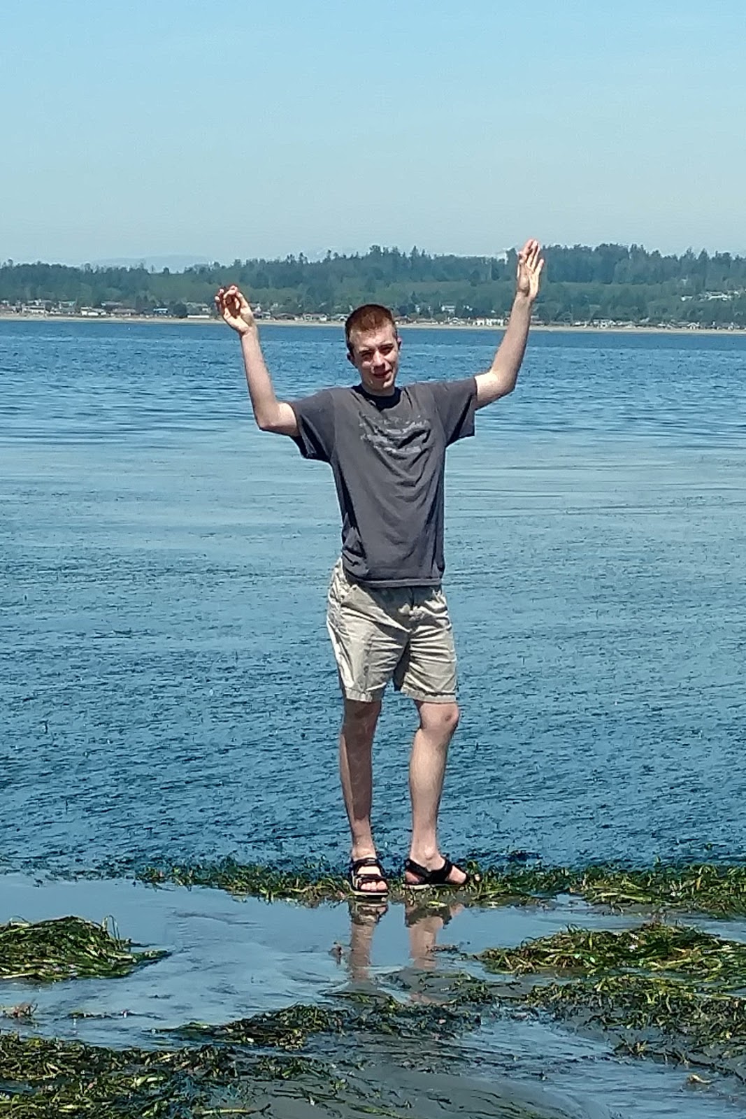 My View of the Honeypot Birch Bay Tide Pooling