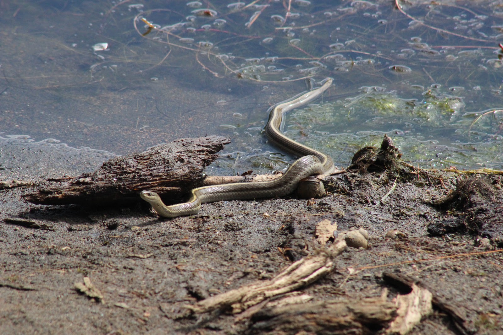VICTORY FELLOWSHIP CHURCH Camp out in Mount Graham