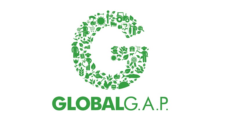 Certificaciones de calidad e inocuidad: GLOBAL GAP | DIARIO DEL EXPORTADOR