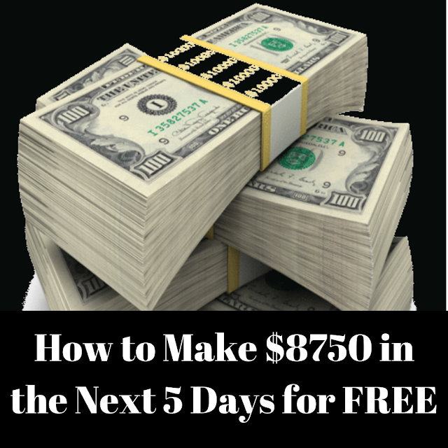 How to Make $8750 (NGN3,150,000) in the Next 5 Days