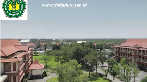 Daftar Fakultas dan Program Studi UNISDA Universitas Islam Darul Ulum Lamongan