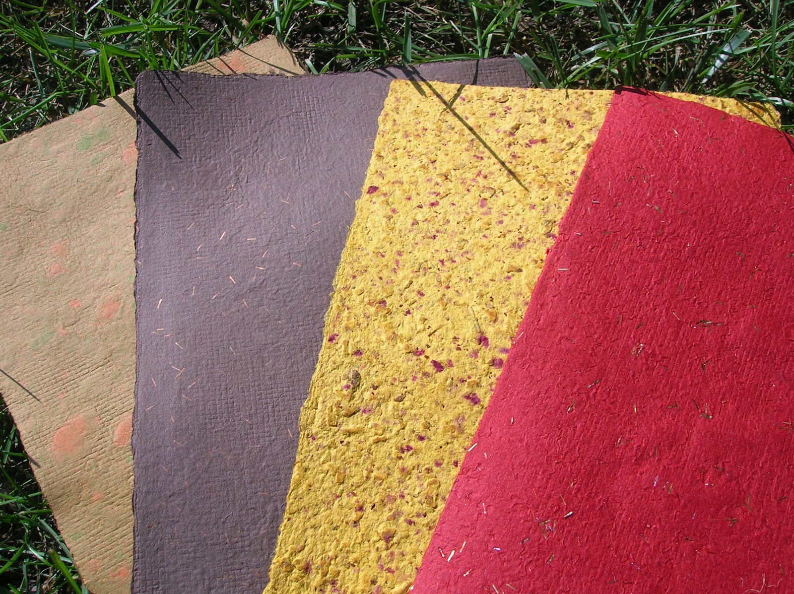 Autumn Leaves Picture Frame