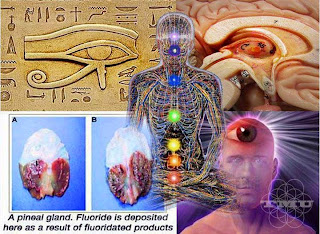 Warning For Religious People   Pineal-gland