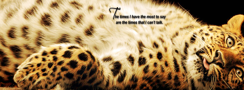 Quotes Motivational Facebook Covers. QuotesGram