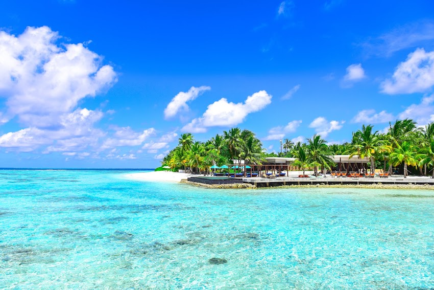 Photo of Seashore During Daytime Photo of Seashore During Daytime