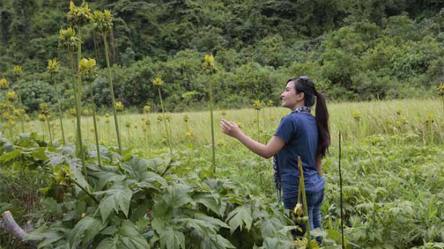 Contoh Cerpen Pengalaman Pribadi Liburan Menulis Indonesia