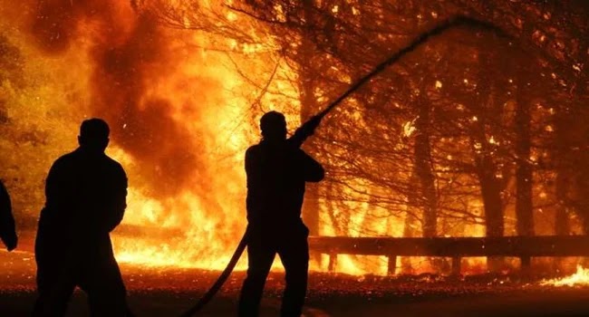 “Ειδικός” δασικών πυρκαγιών στο Spiegel: Στην Ελλάδα ο εμπρησμός είναι ευρέως διαδεδομένος “Ειδικός” δασικών πυρκαγιών στο Spiegel: Στην Ελλάδα ο εμπρησμός είναι ευρέως διαδεδομένος