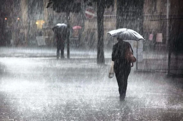 Thiruvananthapuram, Kerala, News, Rain, Heavy rain will be possible since Friday.