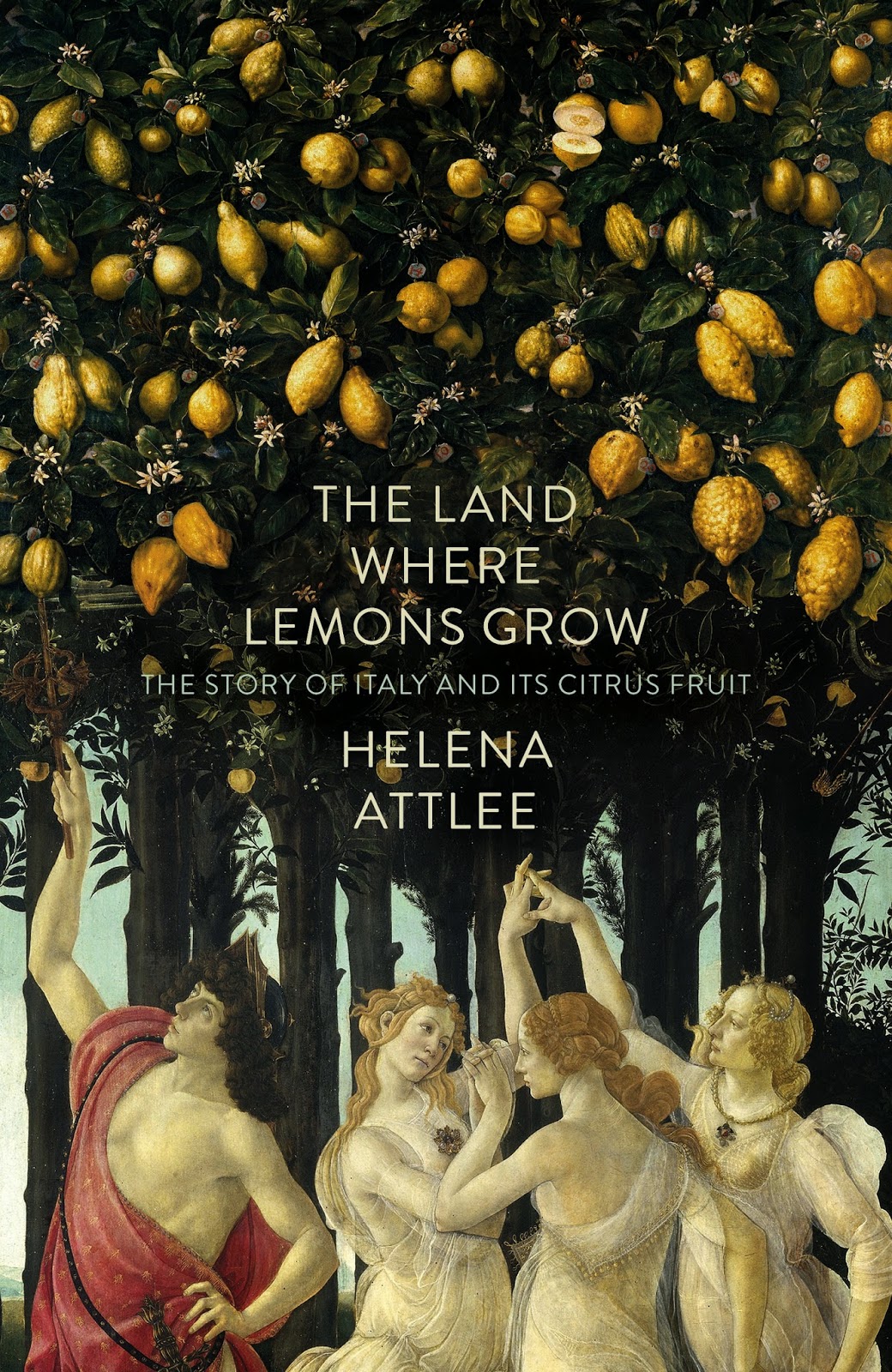 JOHN STEFANIDIS BOOKS The Land Where Lemons Grow