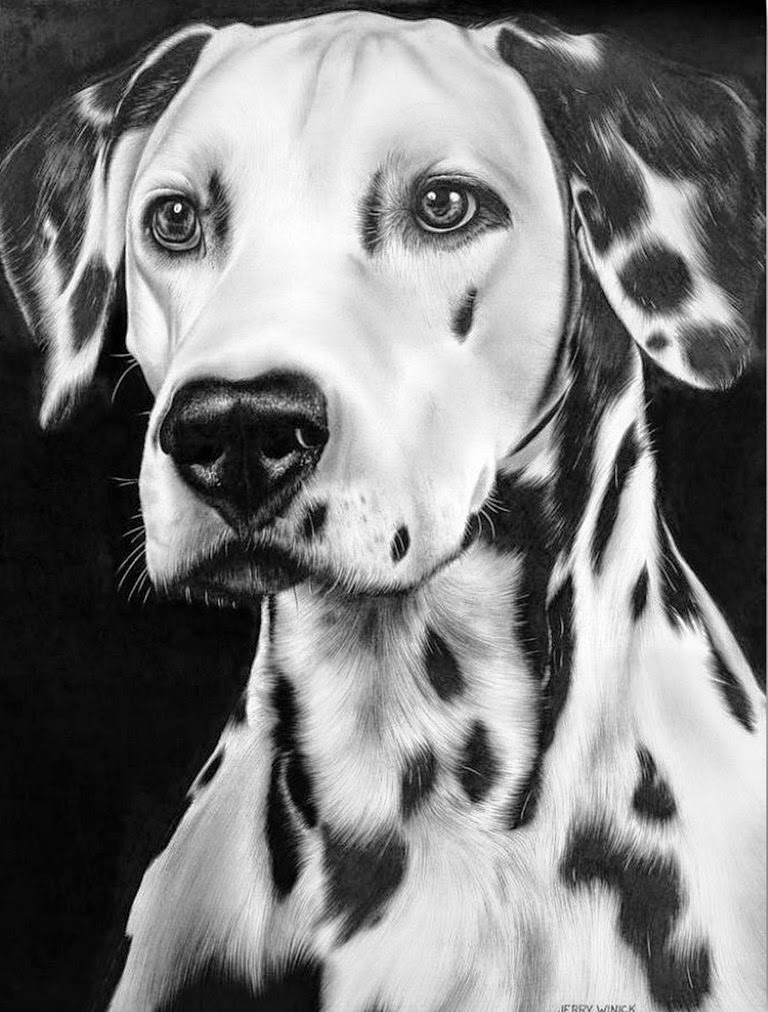 Cuadros Modernos Pinturas y Dibujos Dibujos de Animales a Lápiz Cuadros Modernos Pinturas y Dibujos Dibujos de Animales a Lápiz