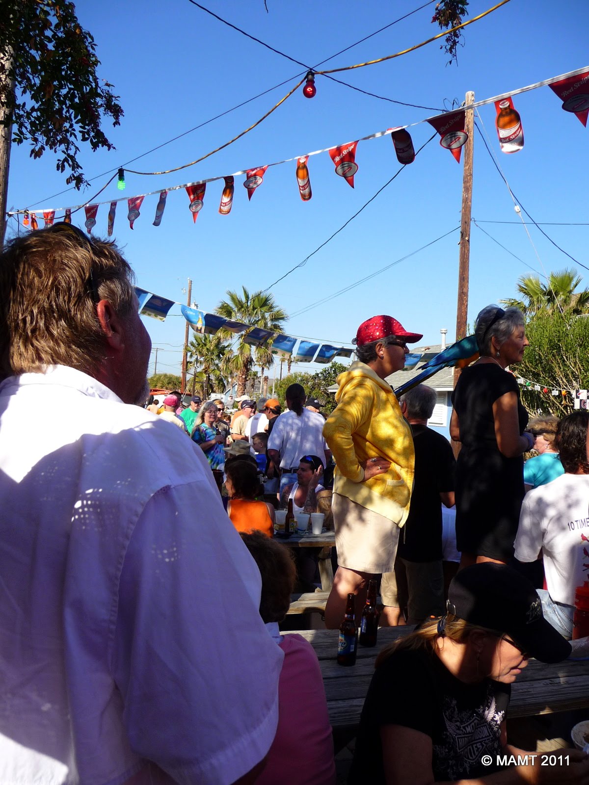 IN THE WIND Adventures of... Mary Ann and William Bluegrass Festival