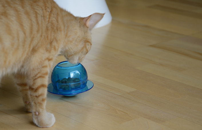 PetSafe Cat Fishbowl Feeder Toy
