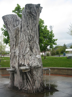 Marg's Racing Ventures: North Ogden Spring Water - The Stump