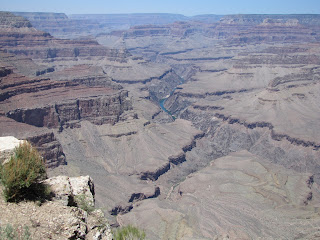 IMG_8131.JPG