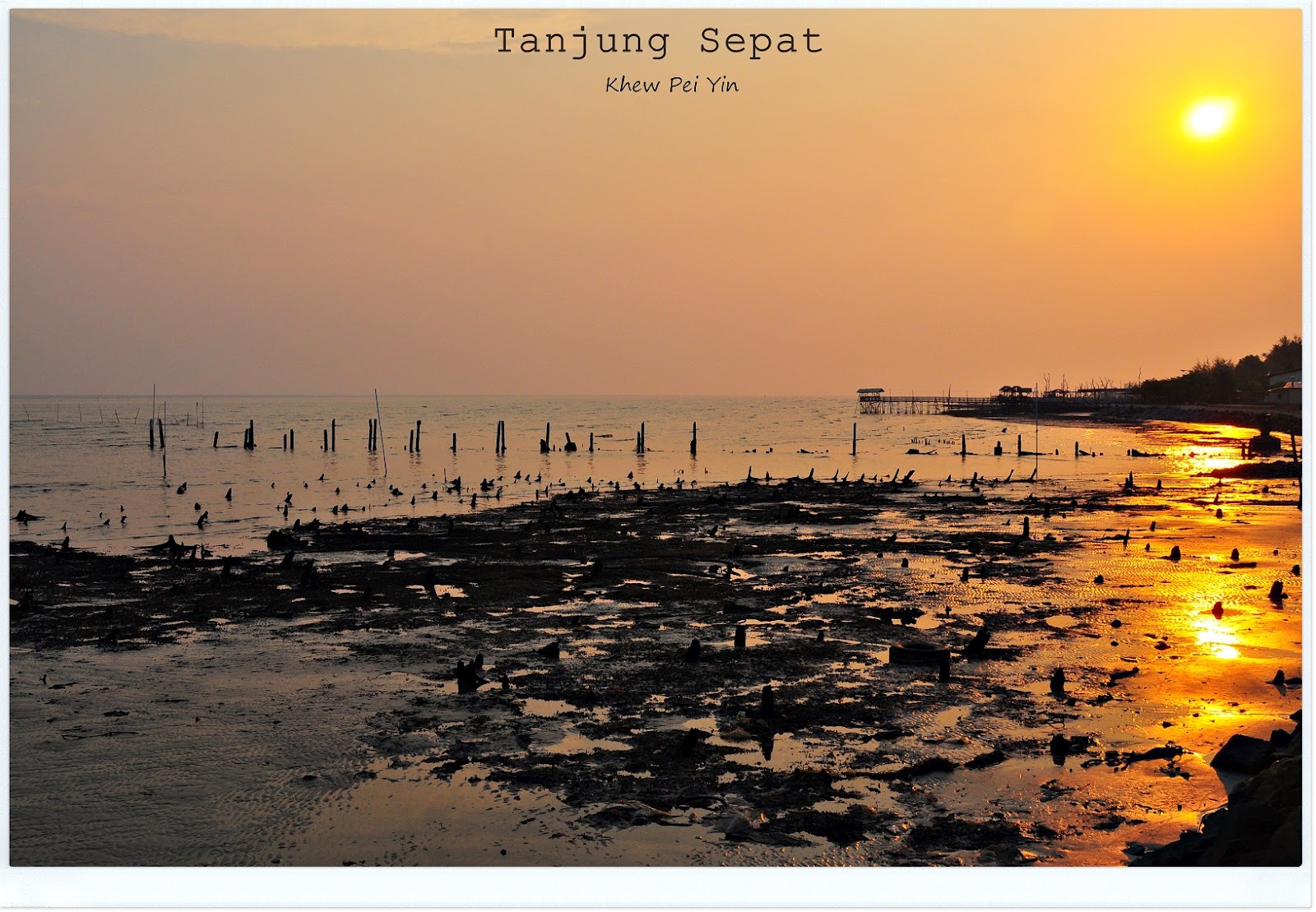 Eat.Play.Love: .: Tanjung Sepat