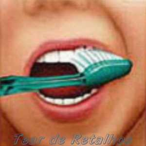Escovando a face externa dos dentes superiores.