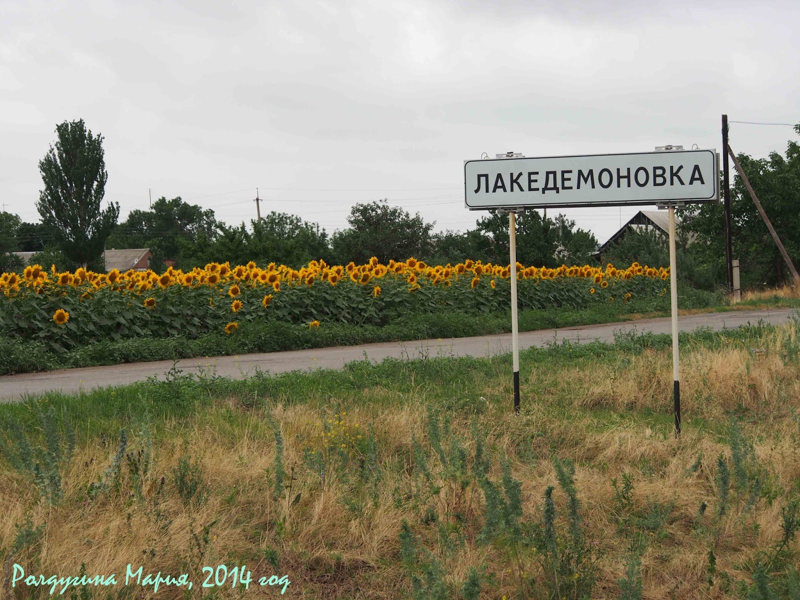 Лакедемоновка таганрог карта