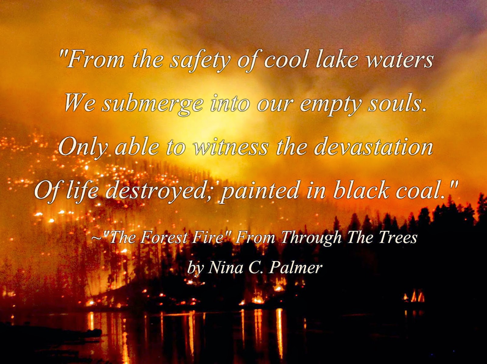 Nina C Palmer Writing Quotes From Through The Trees