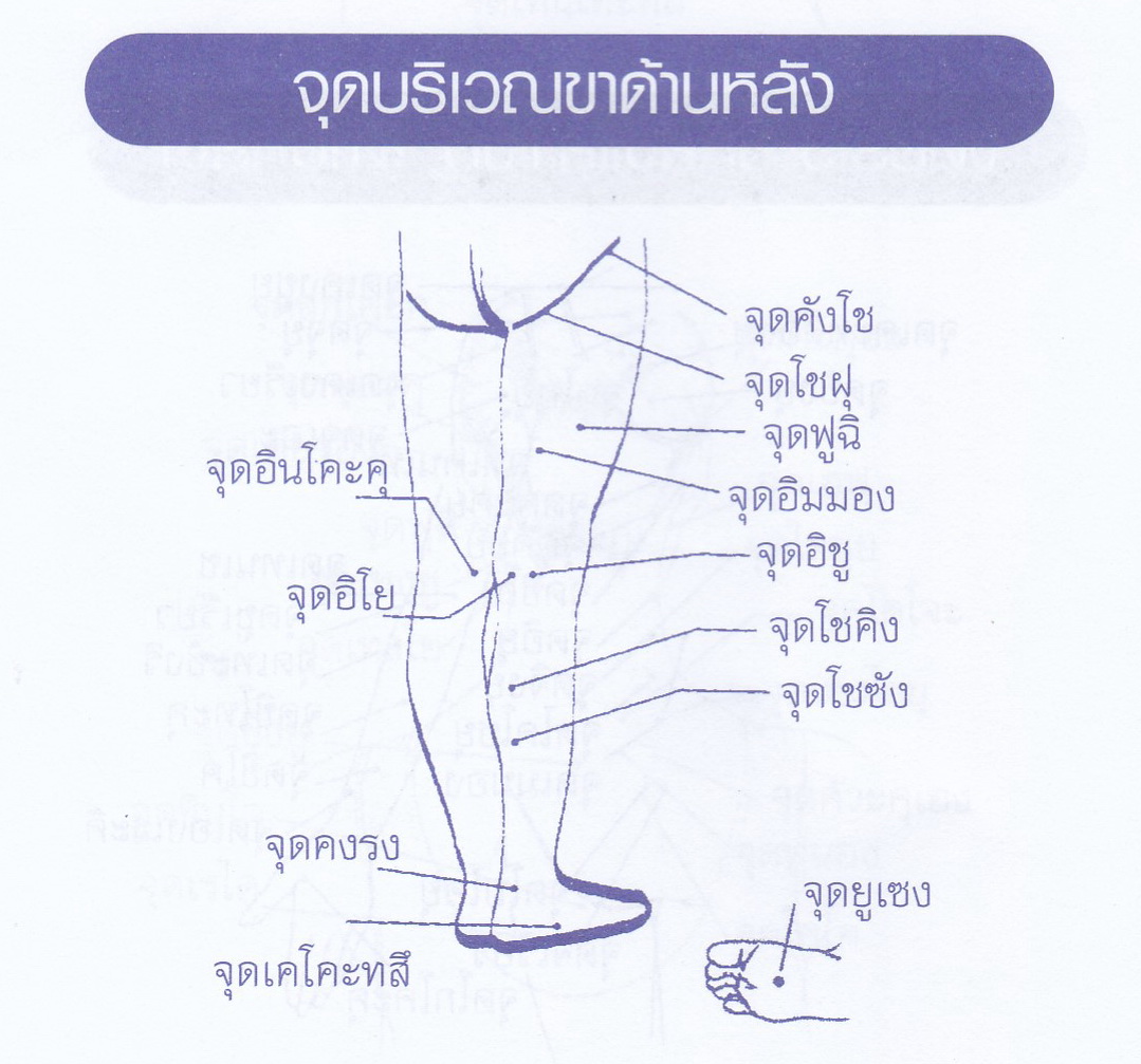 My Image 10