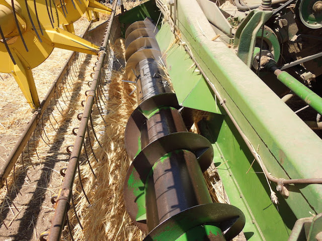 Remembering the 2013 Threshing Bee at Jack Creek Farms