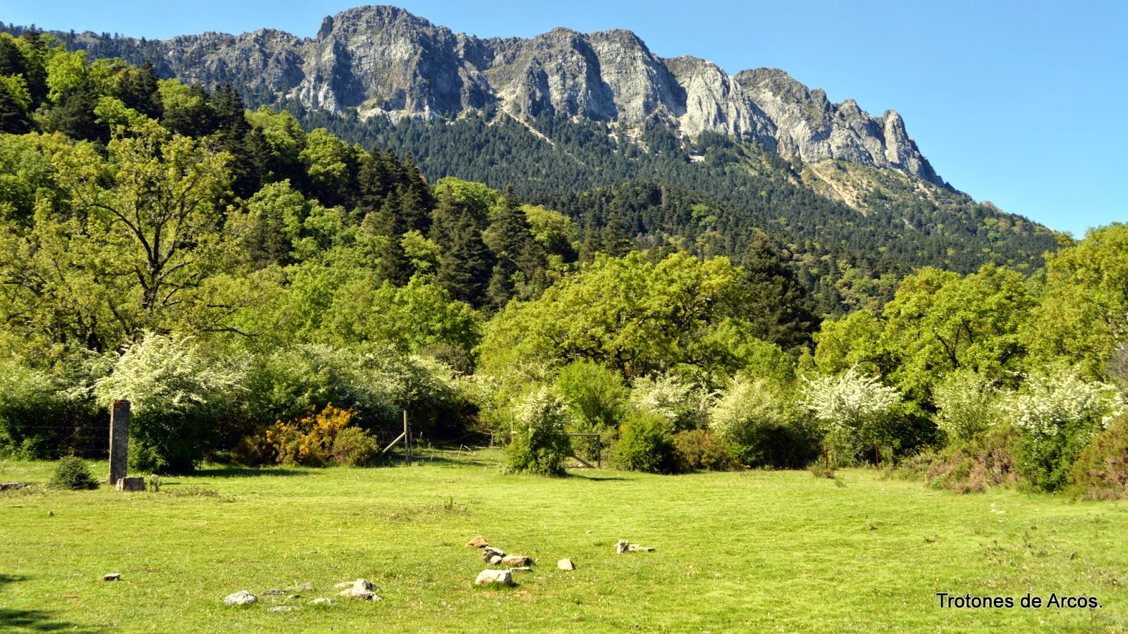 TROTONES BLOG Llanos del Rabel