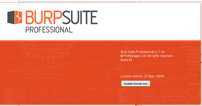 burp suite professional