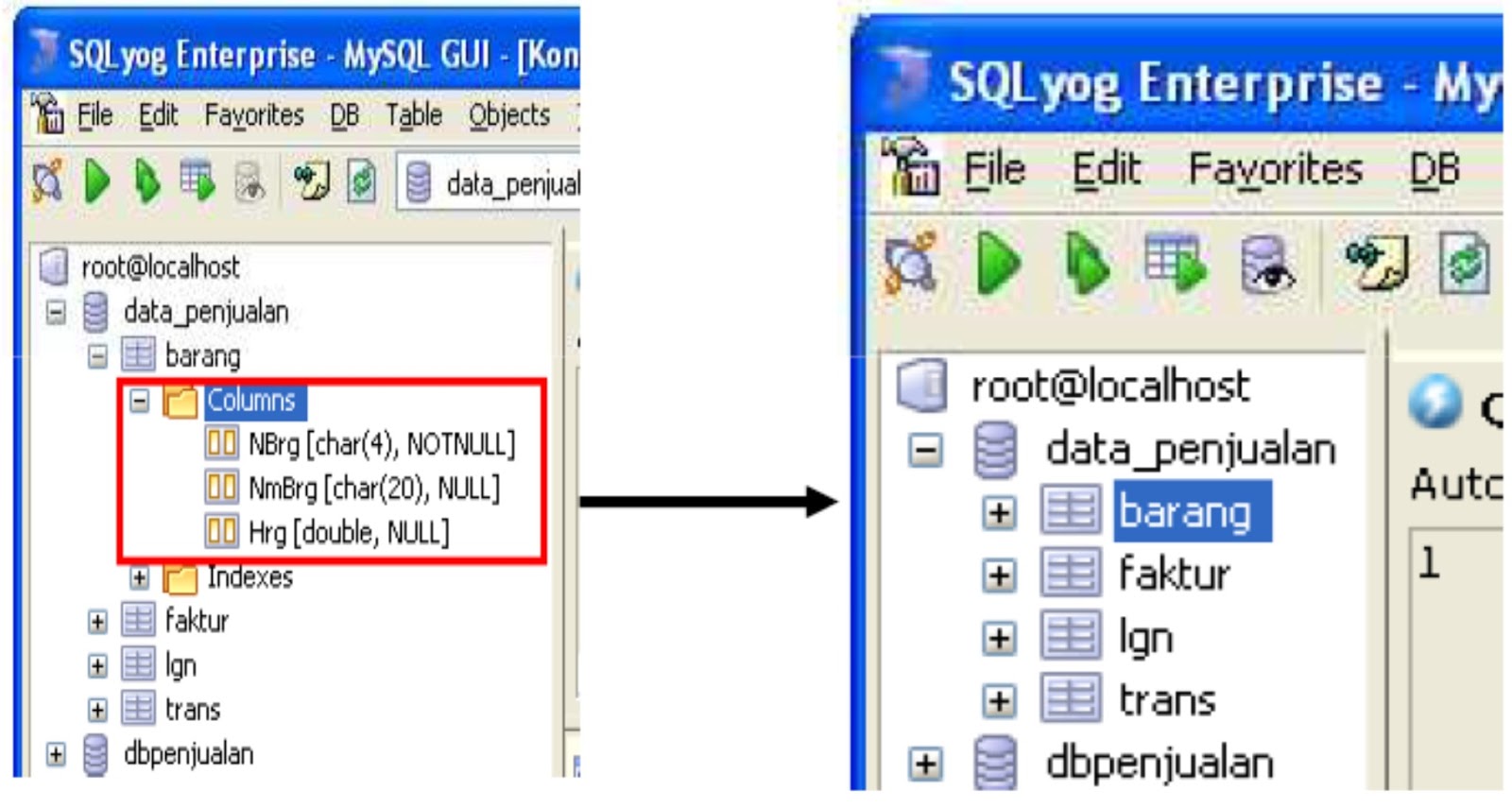 Implementasi Basis Data Menggunakan SQLYog (MySQL GUI) ~ Information ...