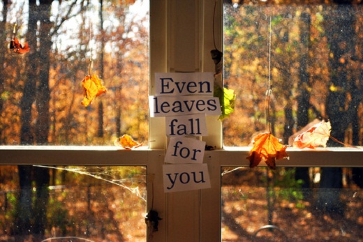 живые обои осень листья. I miss you so much. Discipline картинка. Even leave. Even leave.