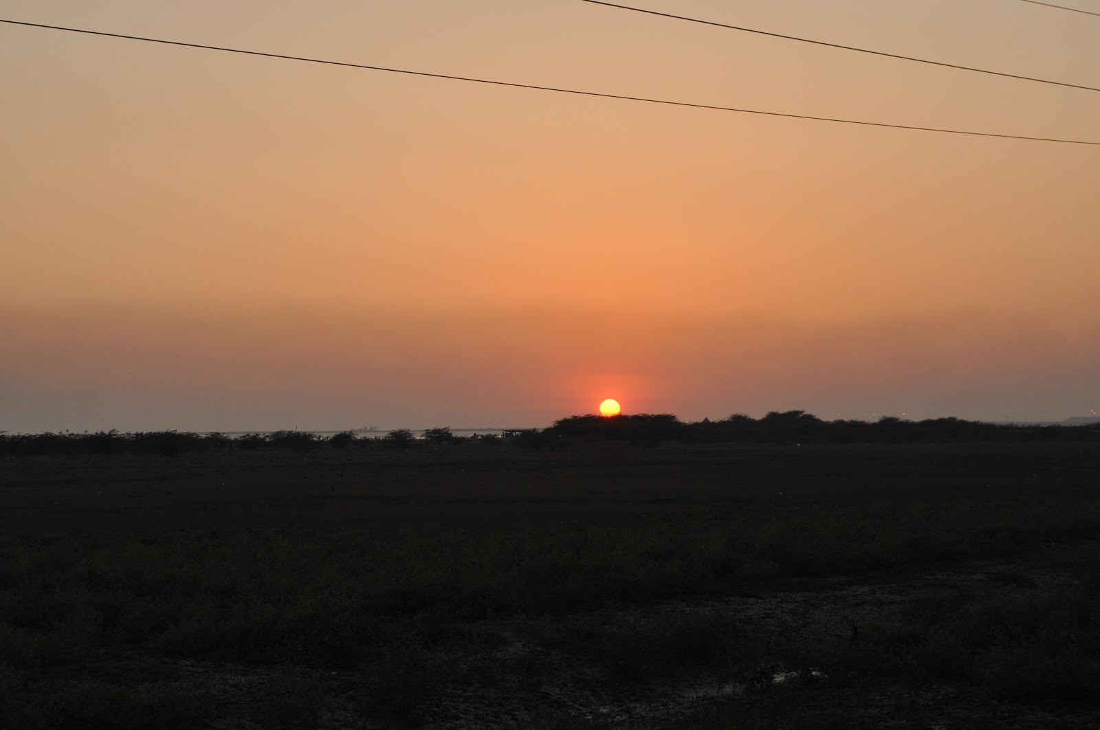 Road Bloke: Dumas Beach, Surat